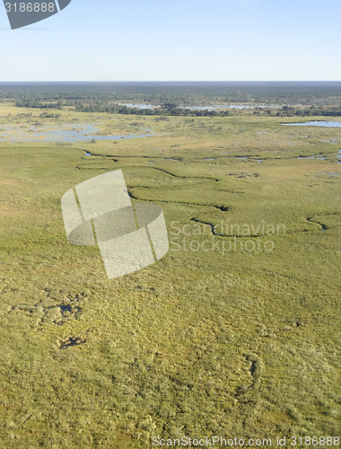 Image of Okavango Delta