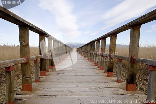 Image of Natural park "Tablas de Daimiel" in Spain