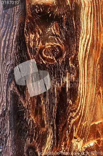 Image of Wood knot