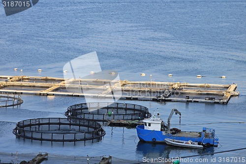 Image of Boat and nets