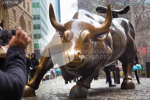 Image of Charging Bull in Lower Manhattan, NY.