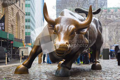 Image of Charging Bull in Lower Manhattan, NY.