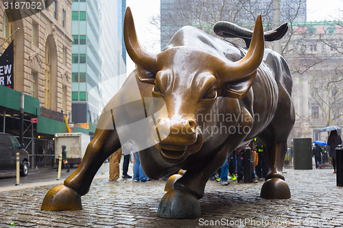 Image of Charging Bull in Lower Manhattan, NY.