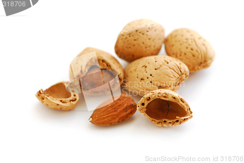 Image of Almonds