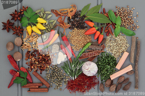 Image of Herbs n Spice is Nice