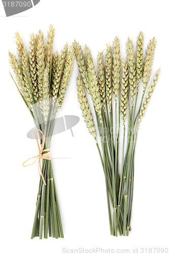 Image of Wheat Bundles