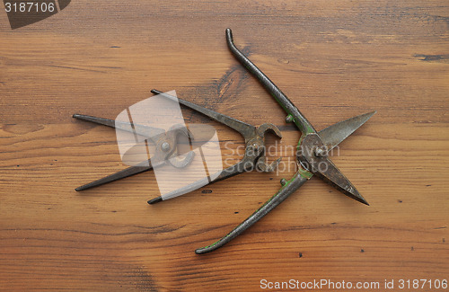 Image of Pair of snips and pincers