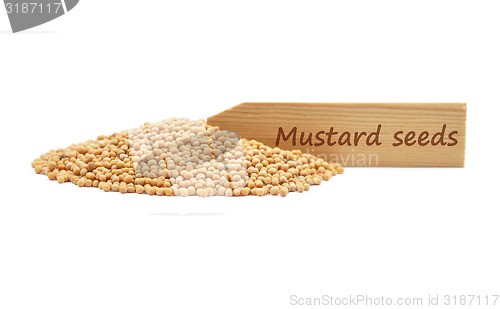 Image of Mustard seeds at plate