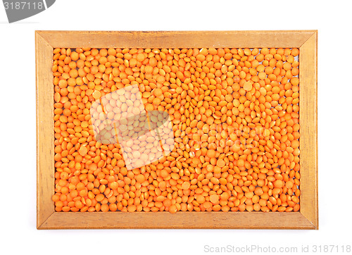 Image of Red lentils in frame