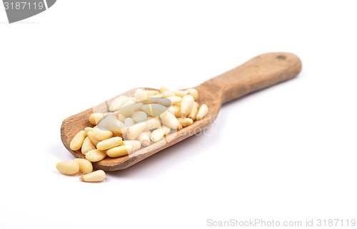 Image of Pine nuts on white