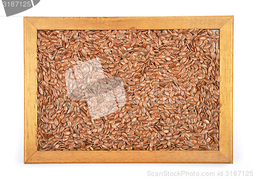 Image of Flax seed in frame