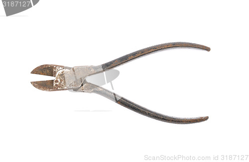 Image of Diagonal pliers on white