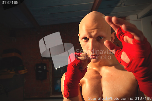 Image of Portrait of a boxer with fists in red bandages