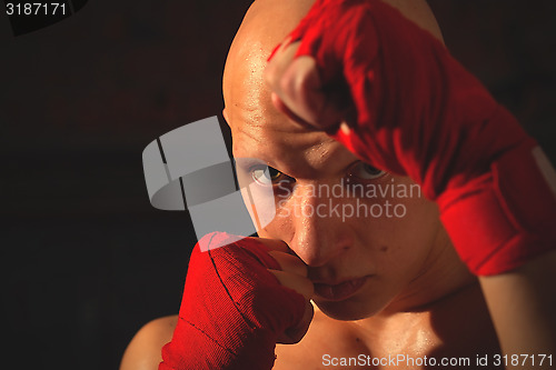 Image of portrait of a boxer