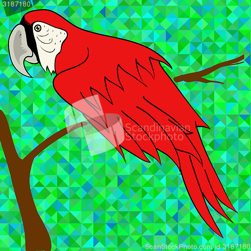 Image of Big Red Parrot