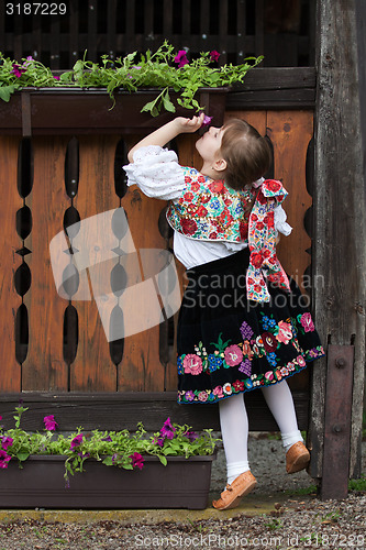 Image of Little girl in traditional costume with flowers