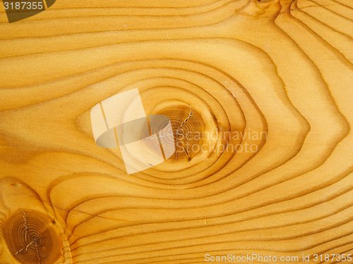 Image of Brown larch wood background