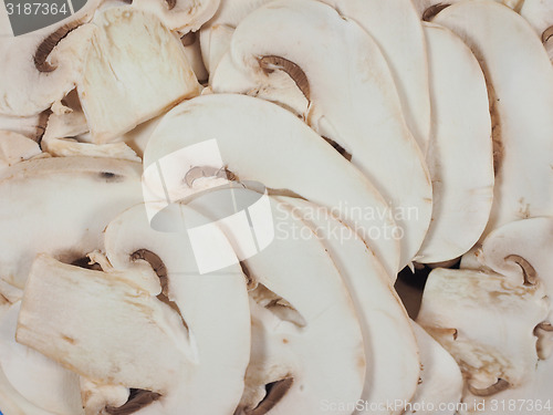 Image of Champignon mushroom background