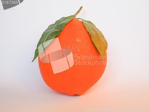 Image of Orange fruit