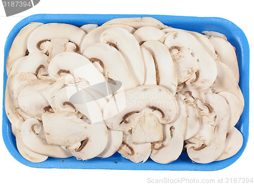 Image of Champignon mushroom isolated