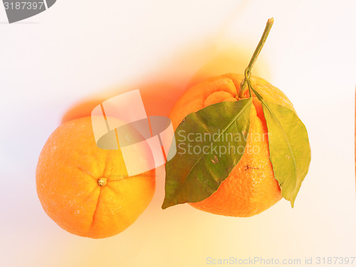 Image of Orange fruit