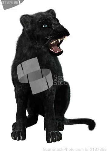 Image of Black Panther