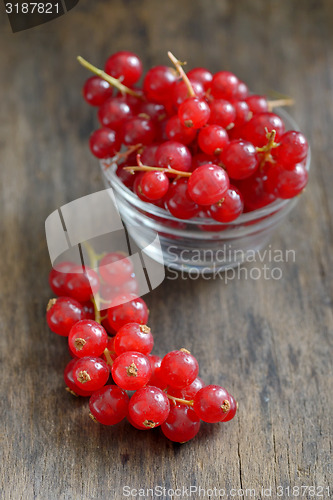 Image of fresh ripe currant