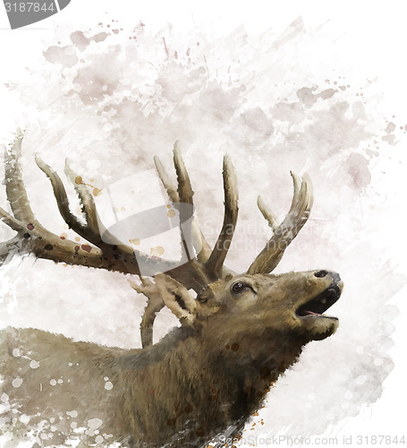 Image of Bull Elk Watercolor