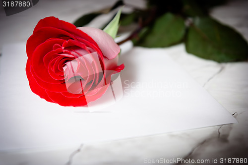 Image of Red rose and a sheet of paper