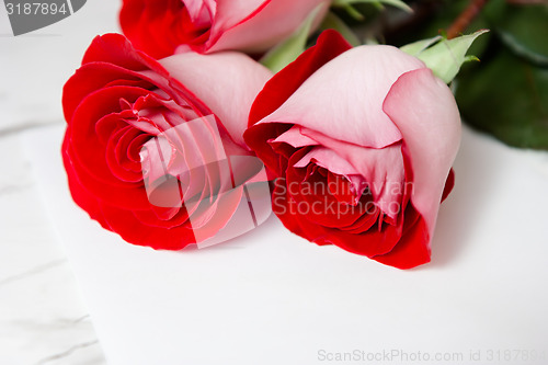 Image of red roses and a blank sheet of paper