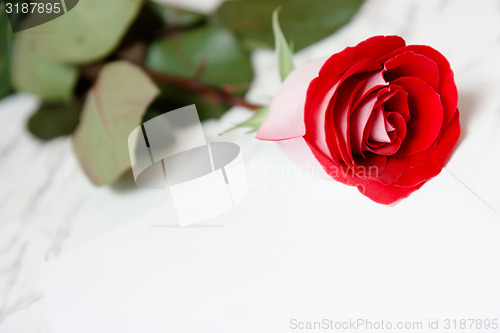 Image of Red rose and a sheet of paper