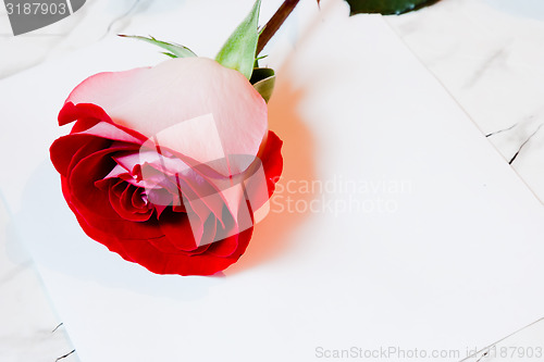 Image of Red rose and a sheet of paper