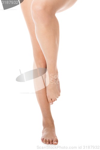 Image of Elegant long bare female legs