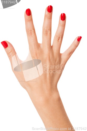 Image of Woman with beautiful manicured red fingernails