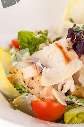 Image of tasty fresh caesar salad with grilled chicken and parmesan