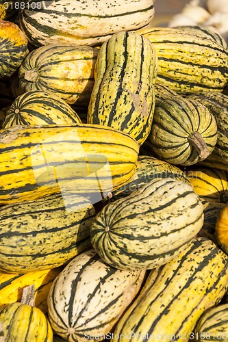 Image of Delicata sweet Potato cucurbita pumpkin pumpkins from autumn har