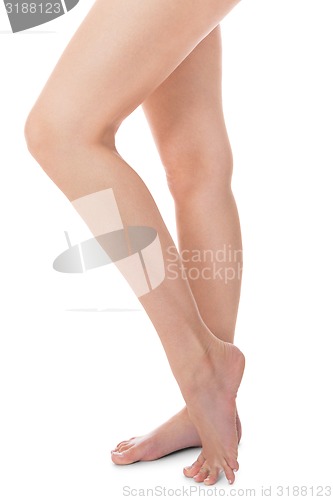 Image of Elegant long bare female legs