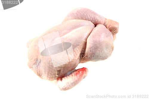 Image of raw chicken isolated