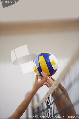 Image of volleyball