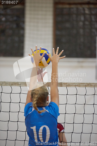 Image of volleyball