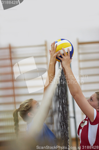 Image of volleyball