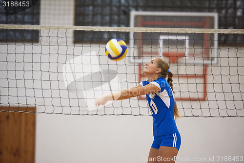 Image of volleyball