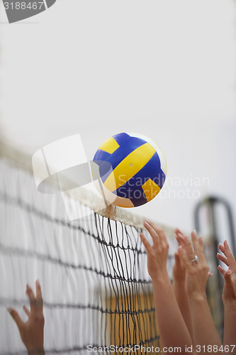 Image of volleyball