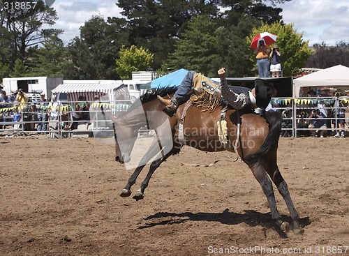 Image of Rodeo Rider