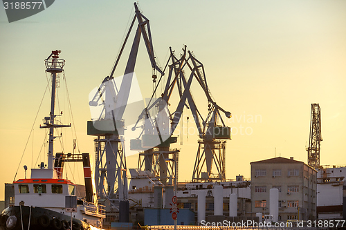 Image of Industrial cargo cranes in the dock