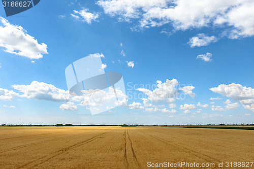 Image of Hay bails on the field