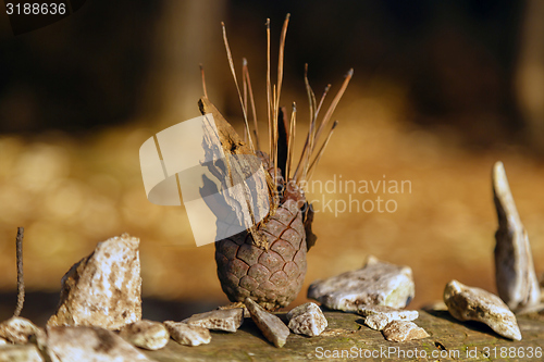 Image of Small natural totem