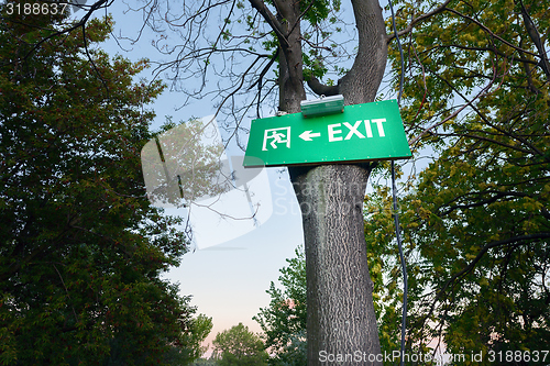 Image of Exit sign on tree