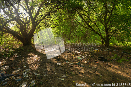 Image of Truck tyre in the mud