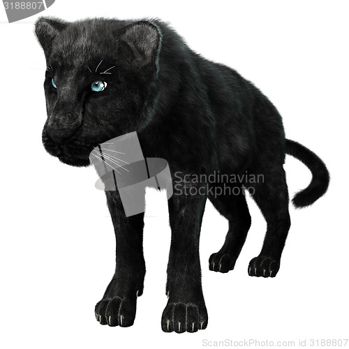 Image of Black Panther